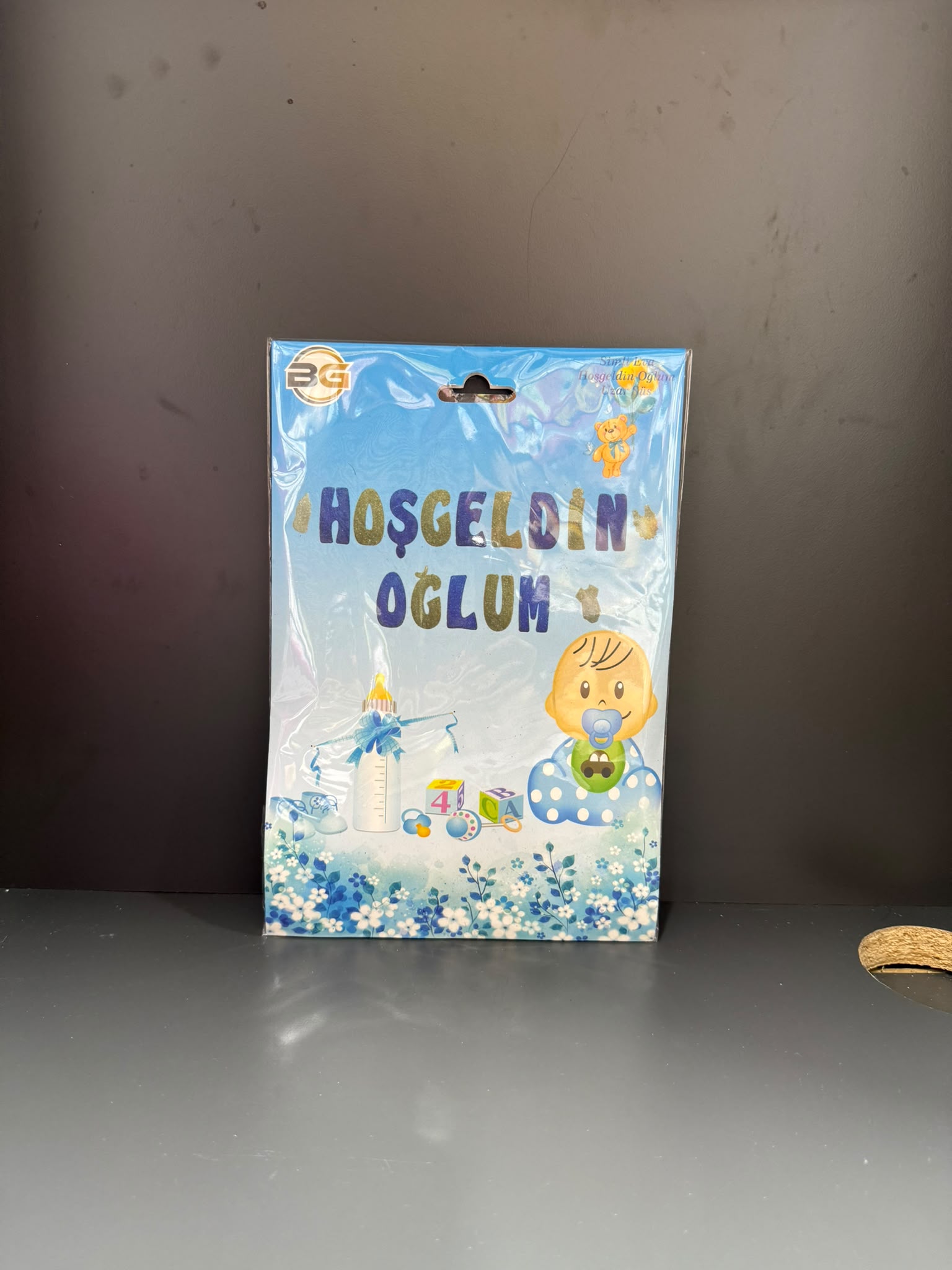 EVA BANNER HOŞGELDİN OĞLUM
